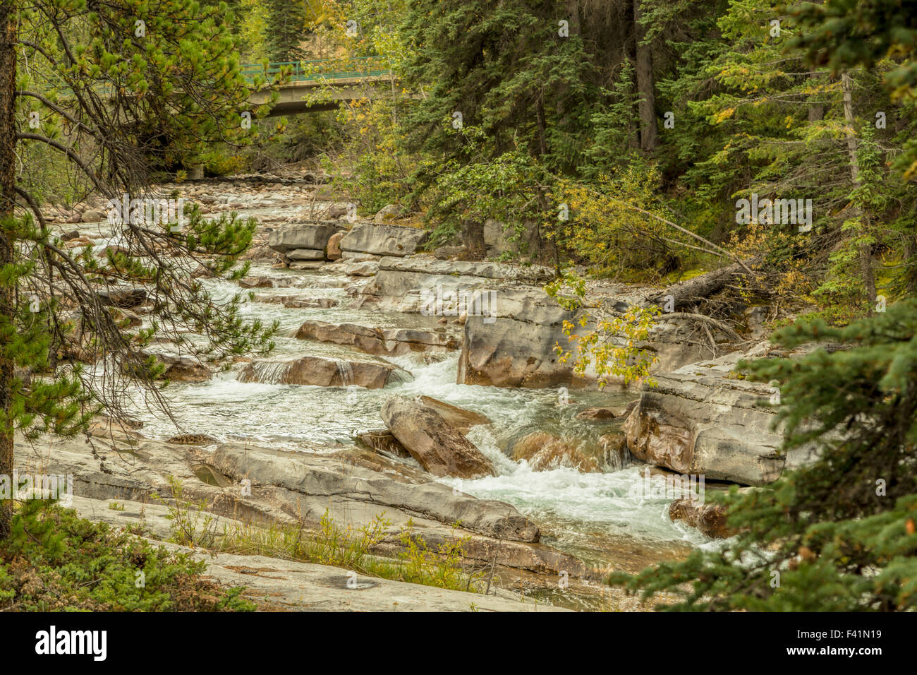 Zeigen Sie am Maligne River und auf der Fußgängerbrücke im Jasper National Park, in den Rocky Mountains, Alberta, Kanada, Nordamerika an. Stockfoto