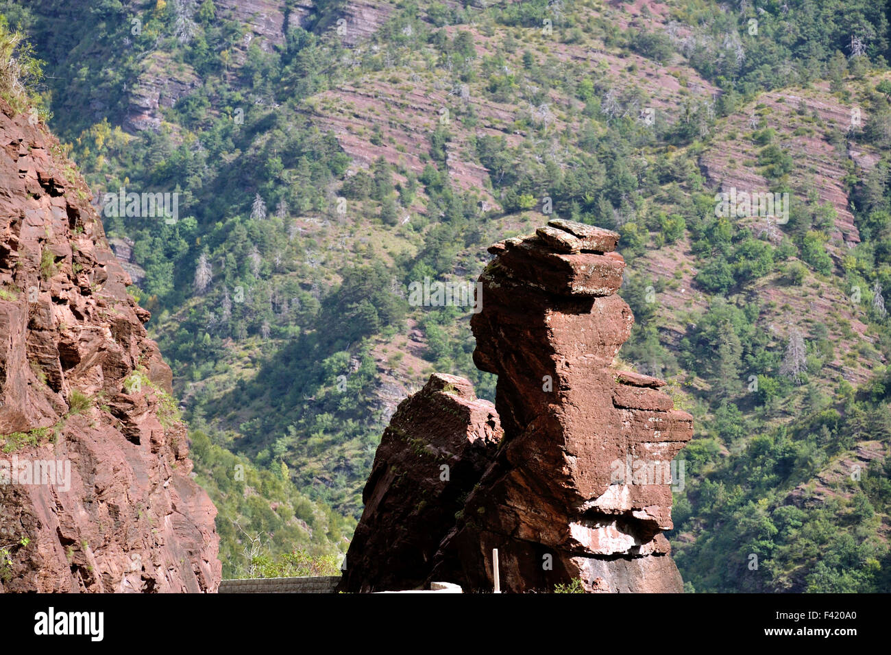 Berühmte Steinskulptur in der Daluis Schlucht, Französische Alpen, Frankreich Stockfoto