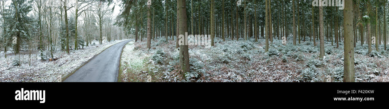 Winterpanorama der Waldlandschaft in den belgischen Ardennen Stockfoto