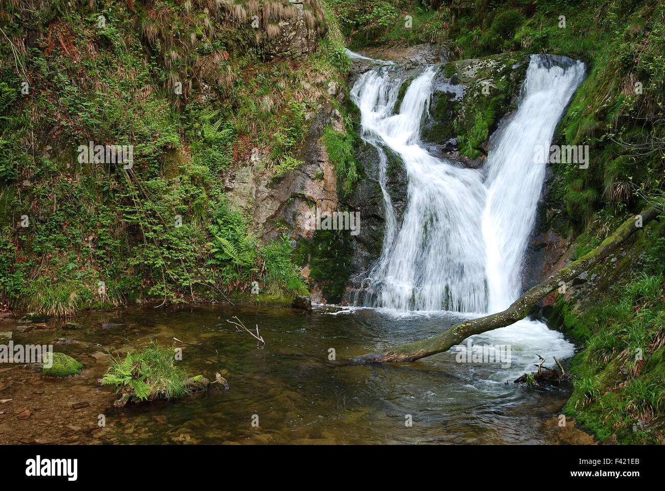 Wasserfall; Schwarzwald; Deutschland Stockfoto