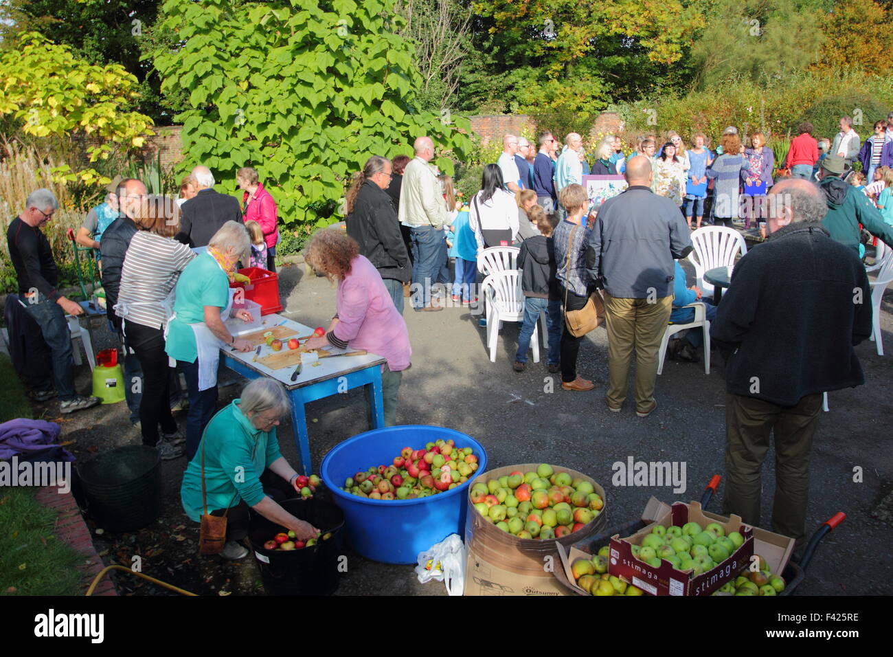 Äpfel für Saft in einer Gemeinschaft Apple Day Festival in Sheffield, South Yorkshire England drücken Stockfoto