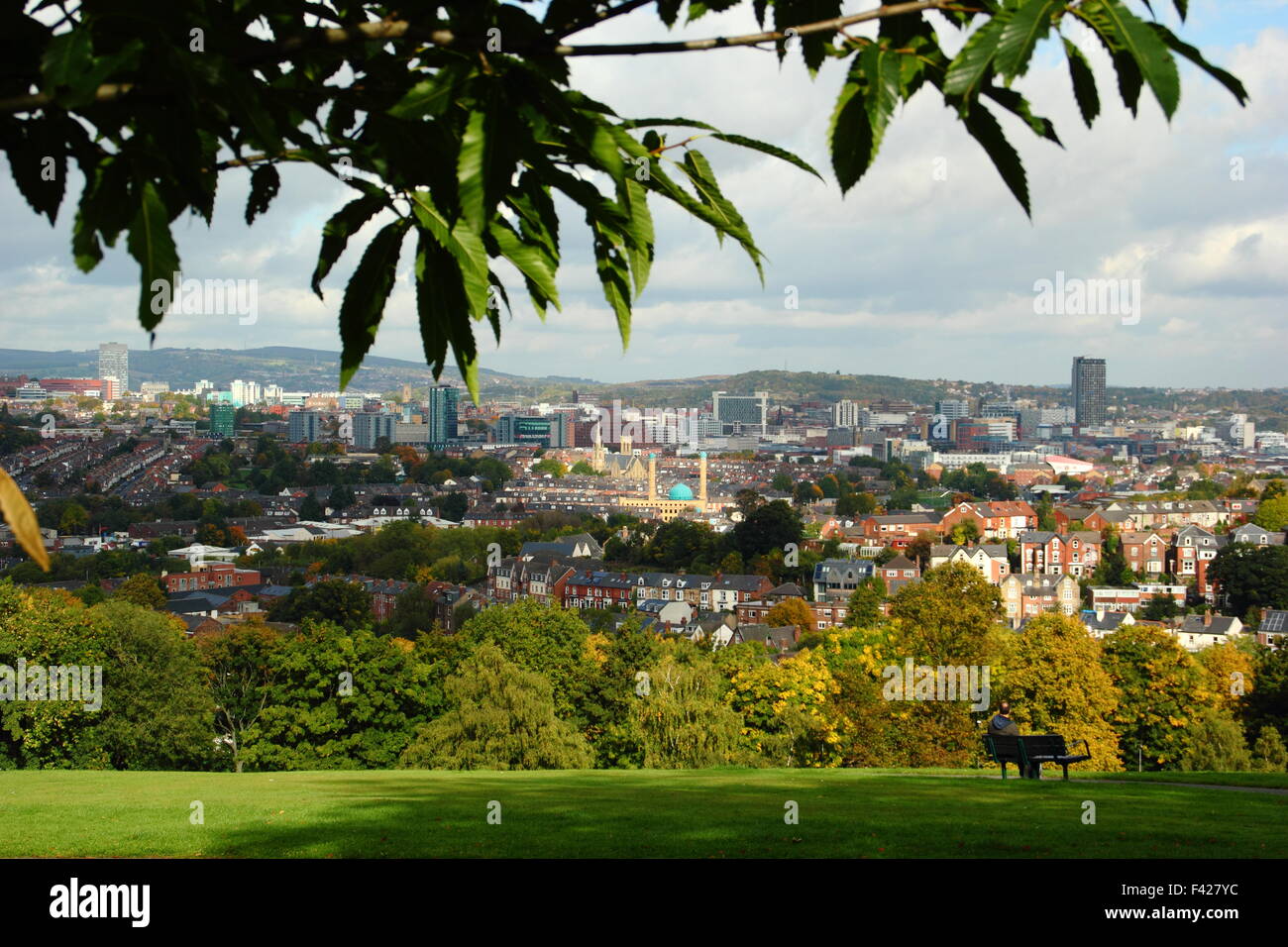 Th-Skyline von Sheffield Stadtzentrum vom Meersbrook Park, Sheffield, South Yorkshire England UK Stockfoto