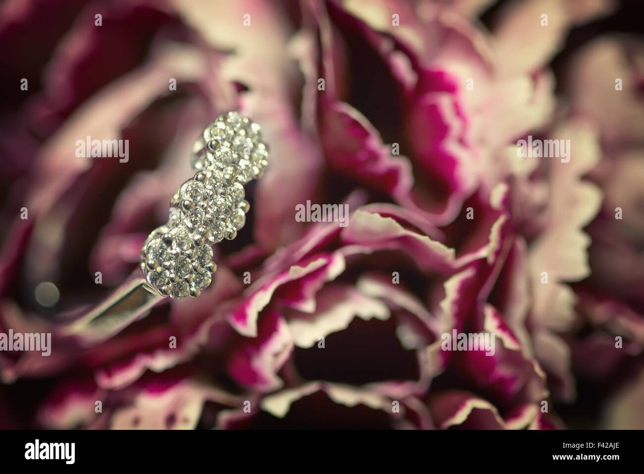 Eine Nahaufnahme von einem Diamant-Verlobungsring Stockfoto