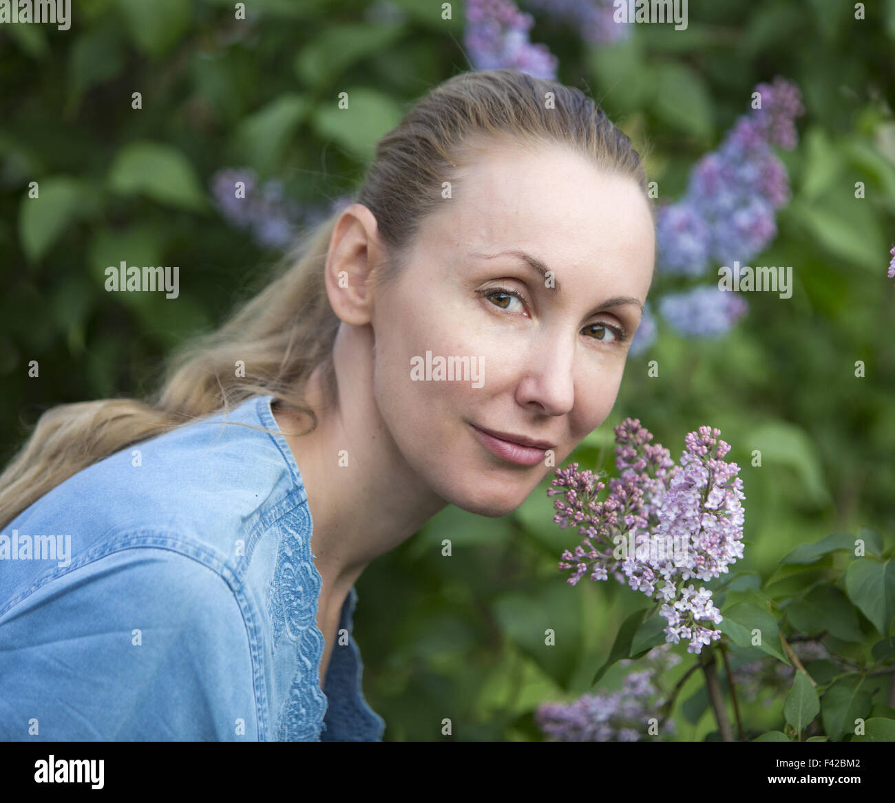 junge Frau in der Nähe der blühenden Flieder Stockfoto