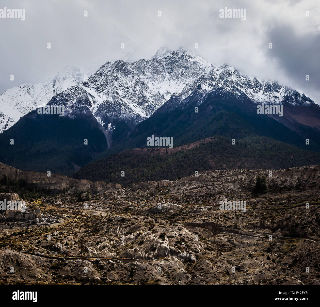 Nilgiri Berge, Nepal Stockfoto