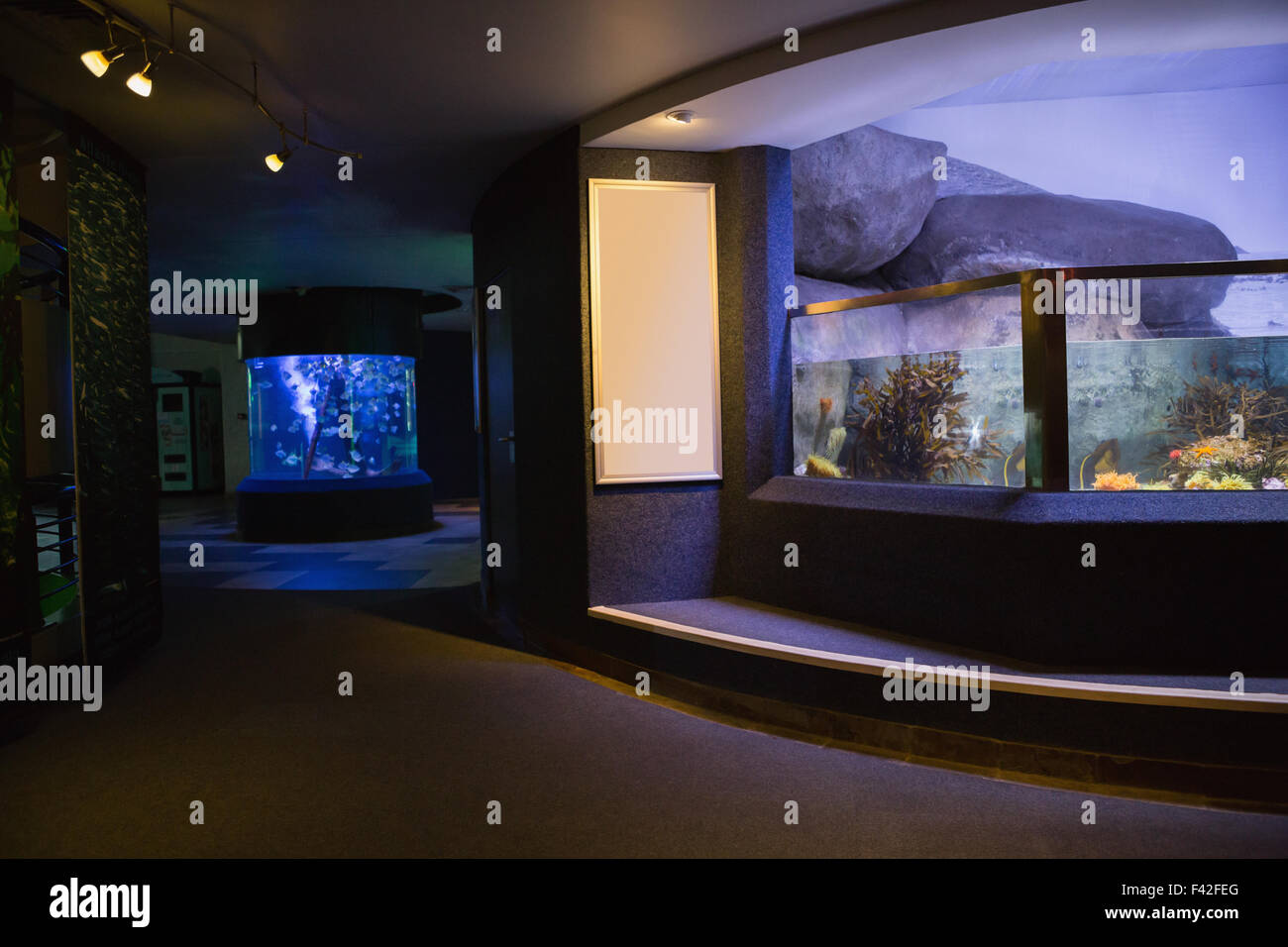 Aquarium beleuchtet Stockfoto