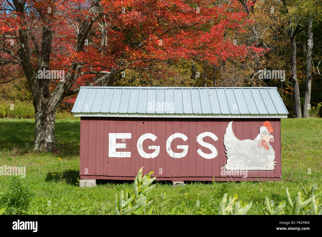 Hühnerstall Werbung Eiern Stockfoto