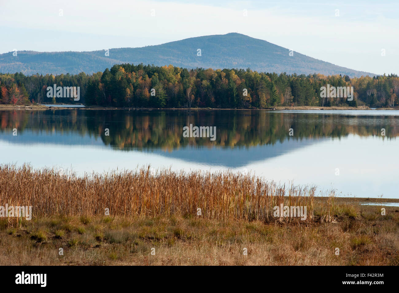 Ruhige See-Szene Stockfoto