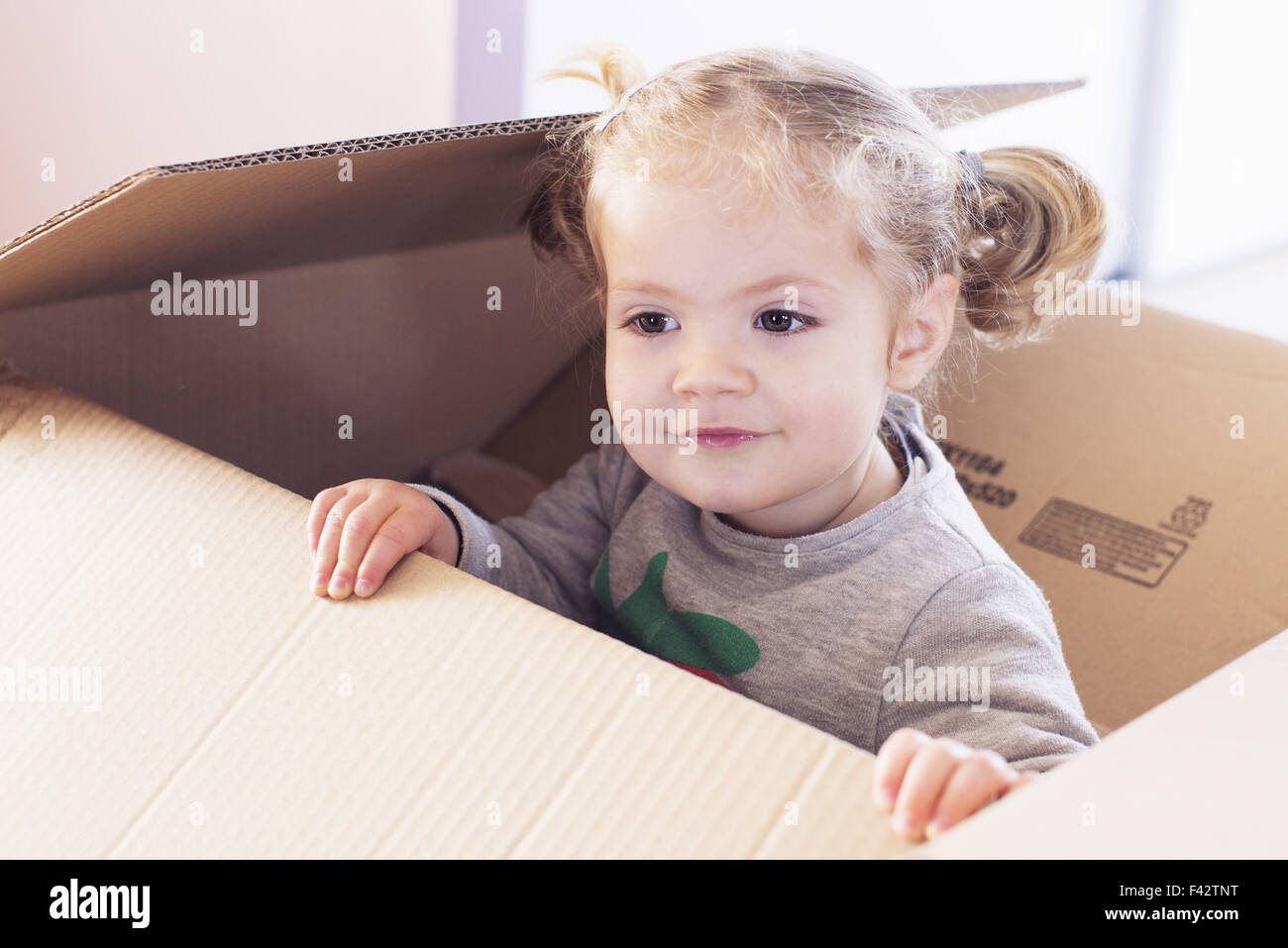 Kleine Mädchen spielen im Karton Stockfoto