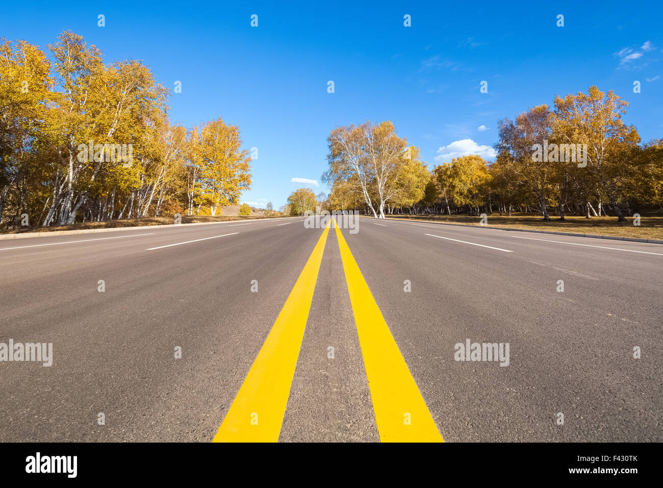 Straße in den Wald im Herbst Stockfoto