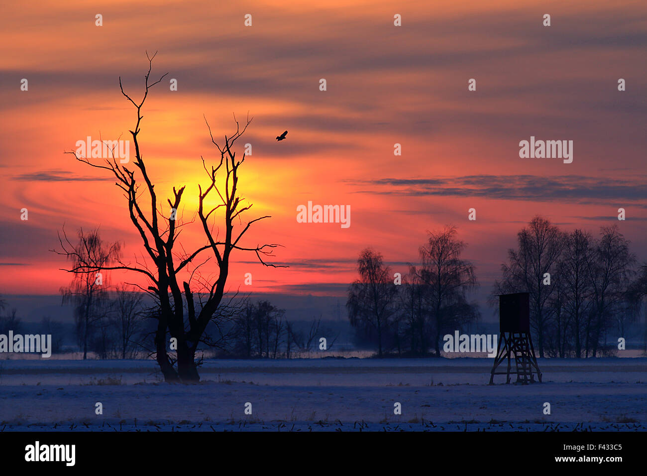 Bayerische Winterlandschaft bei Sonnenuntergang Stockfoto