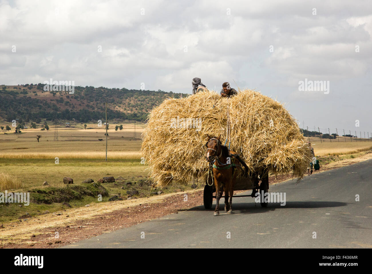 Wagen beladen mit Stroh. Fotografiert in Äthiopien, Afrika Stockfoto