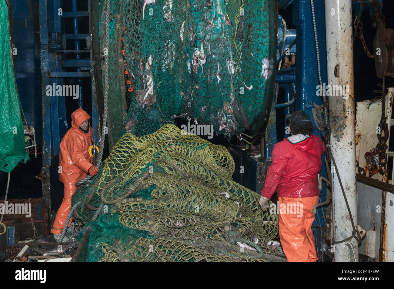 Fisch aus dem Dragger/Trawler net Reinigung.  Georges Bank, New England Stockfoto