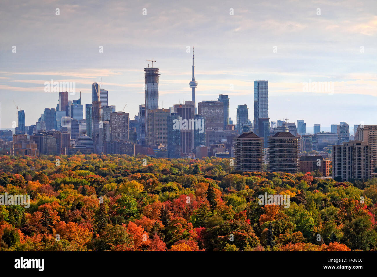 Toronto Skyline der Stadt mit bedeutenden Sehenswürdigkeiten der Stadt Gebäuden einschließlich der CN Tower und die Innenstadt von Offizier Wolkenkratzer mit Midtown Wald in fa Stockfoto