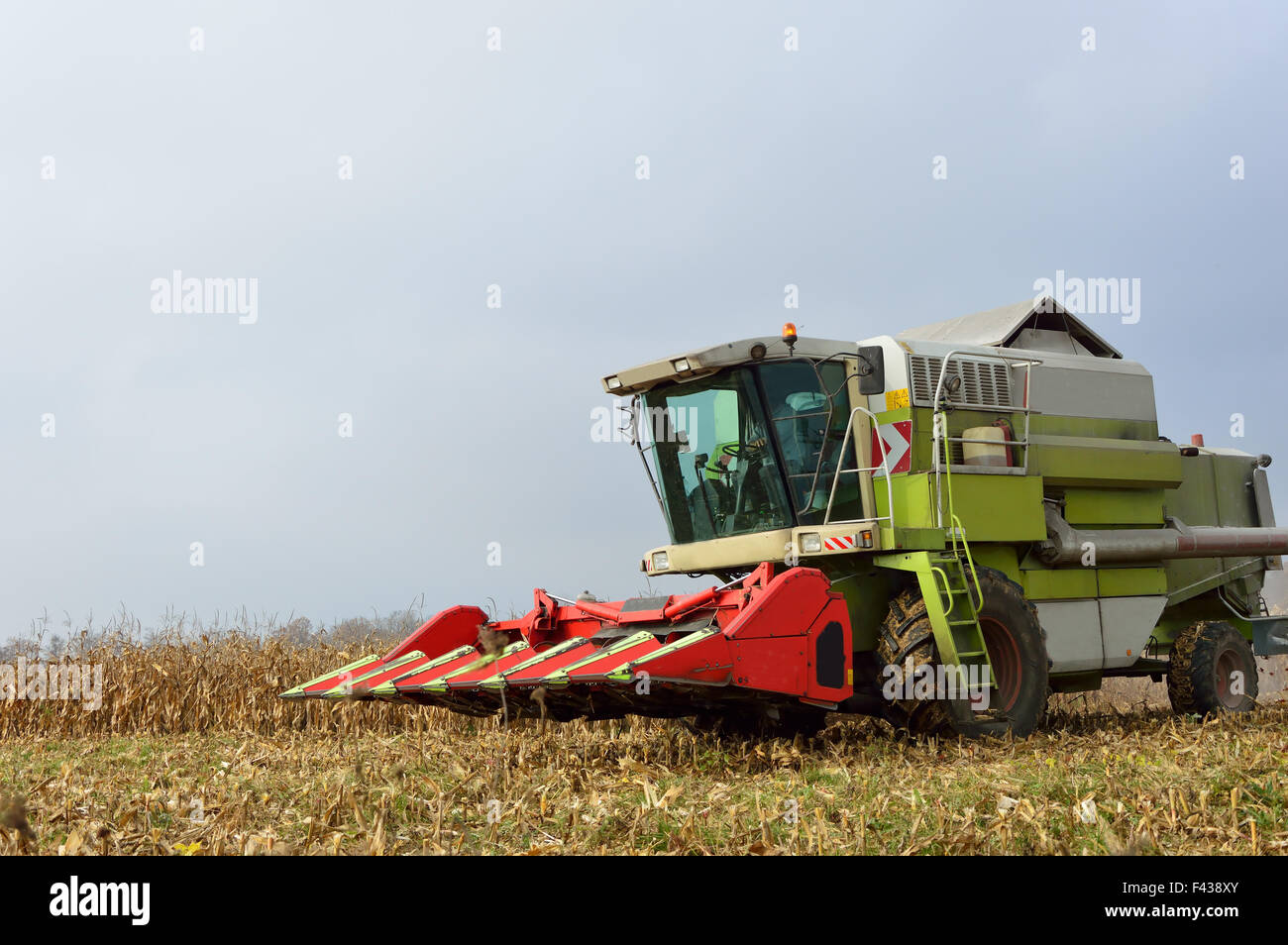 Mähdrescher auf Feld Stockfoto