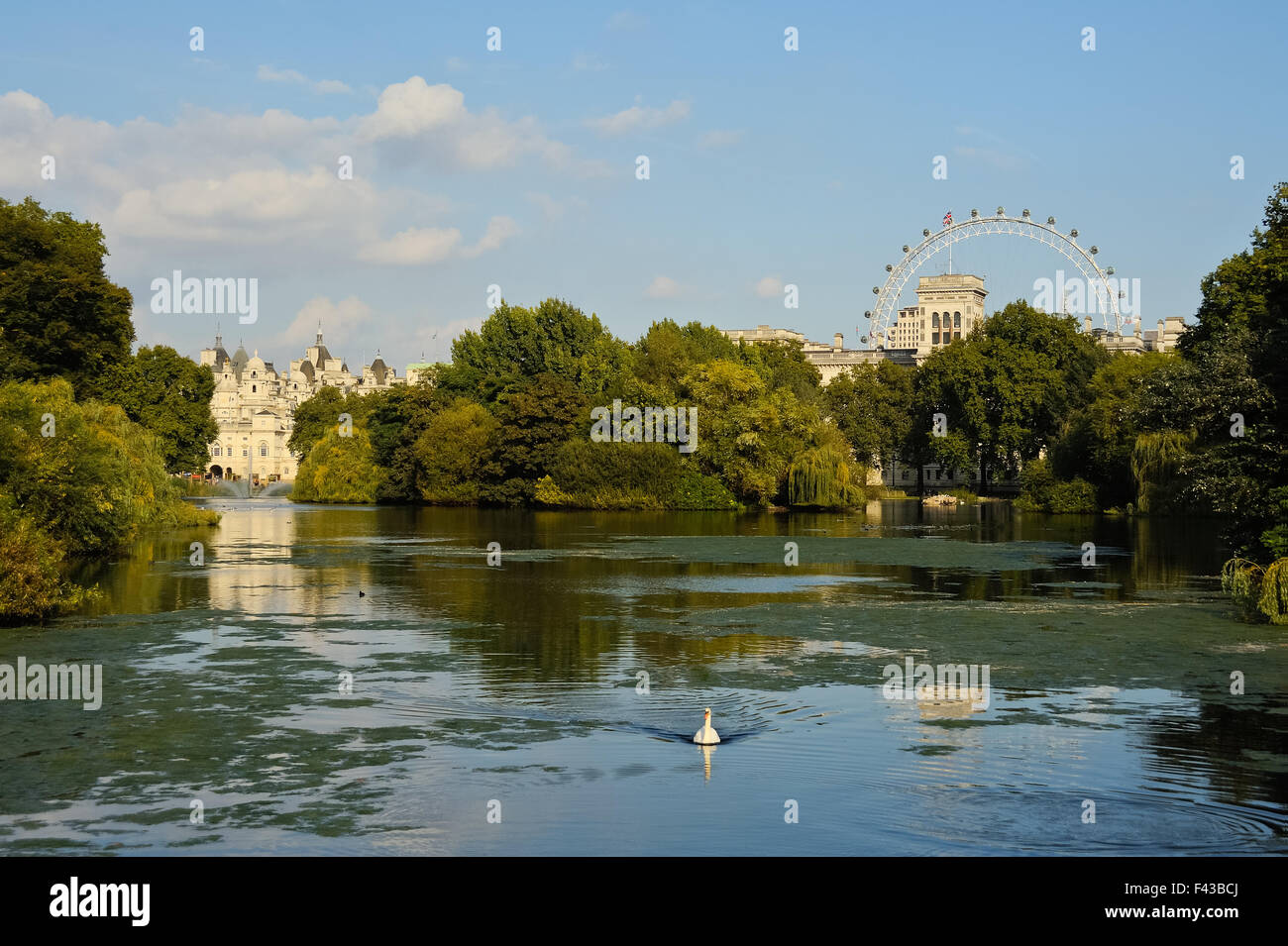 Teich im St. James Park in London Stockfoto