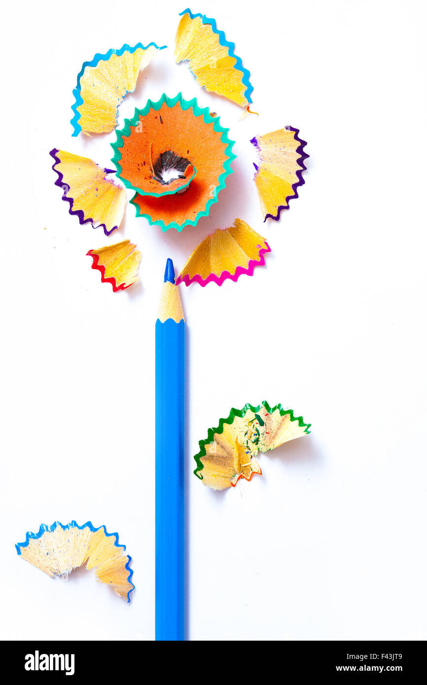 Bleistift-Blume mit pollen Stockfoto