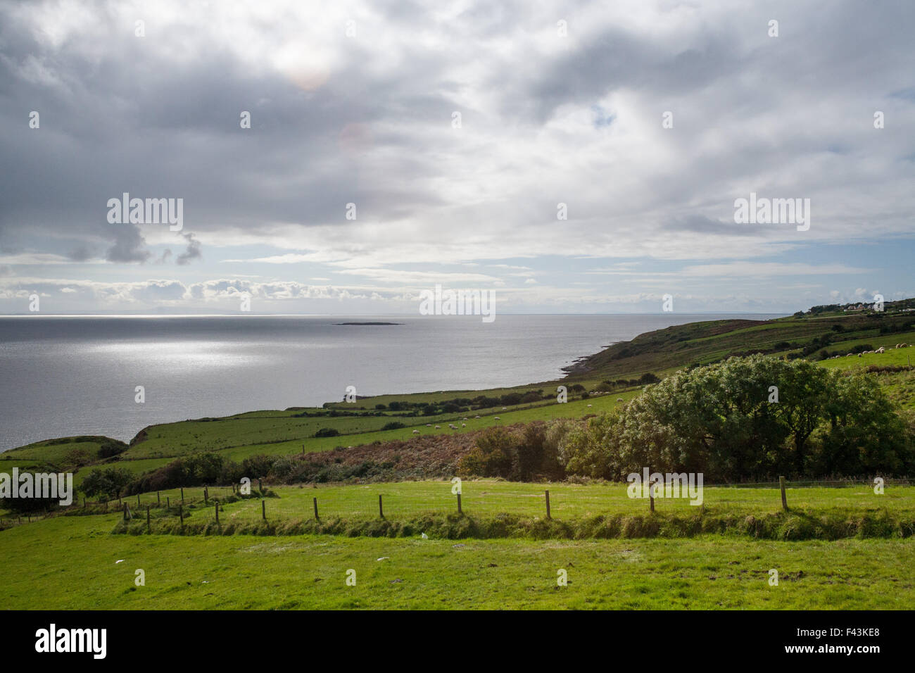 Grünen Hügel im ländlichen Auenlandschaft von Irland mit Blick aufs Meer. Stockfoto
