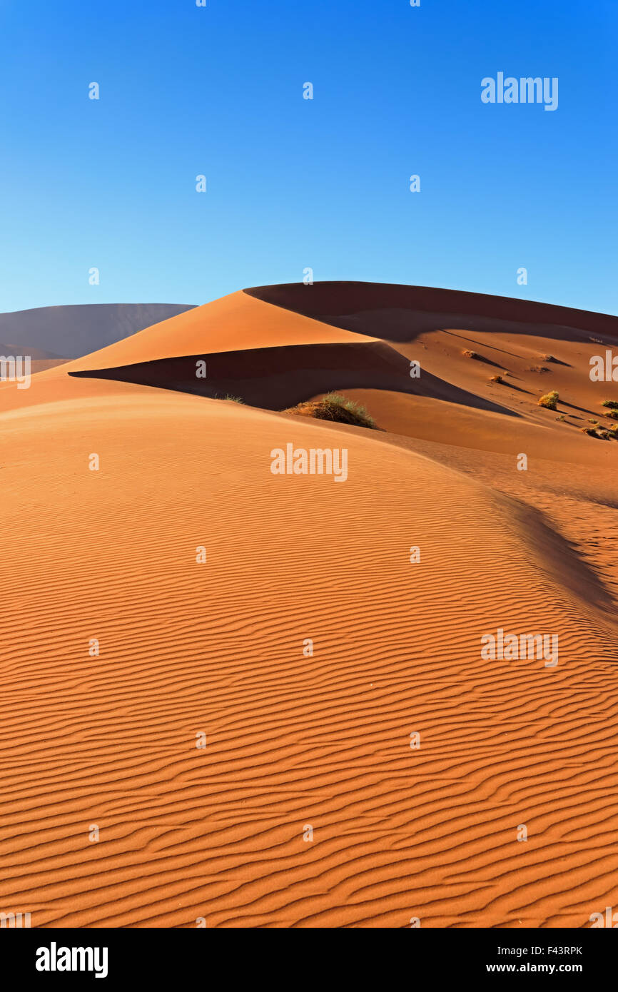 Roten Sanddünen bei Sonnenaufgang schöne Schattenwurf mit Wind Sand in Sossusvlei, Namibia Stockfoto