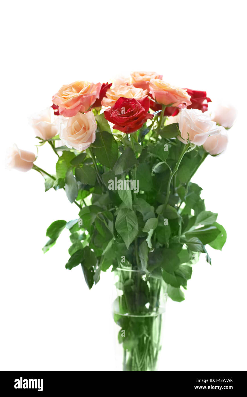 Bouquet von roten und weißen schönen Rosen Stockfoto