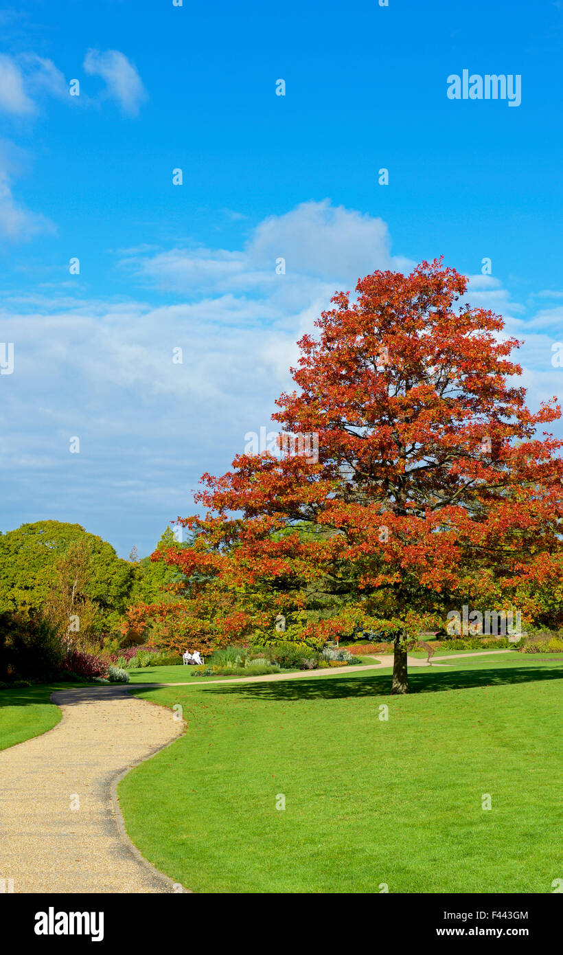 Harlow Carr, Gärten der Royal Horticultural Society, in der Nähe von Harrogate, North Yorkshire, England UK Stockfoto