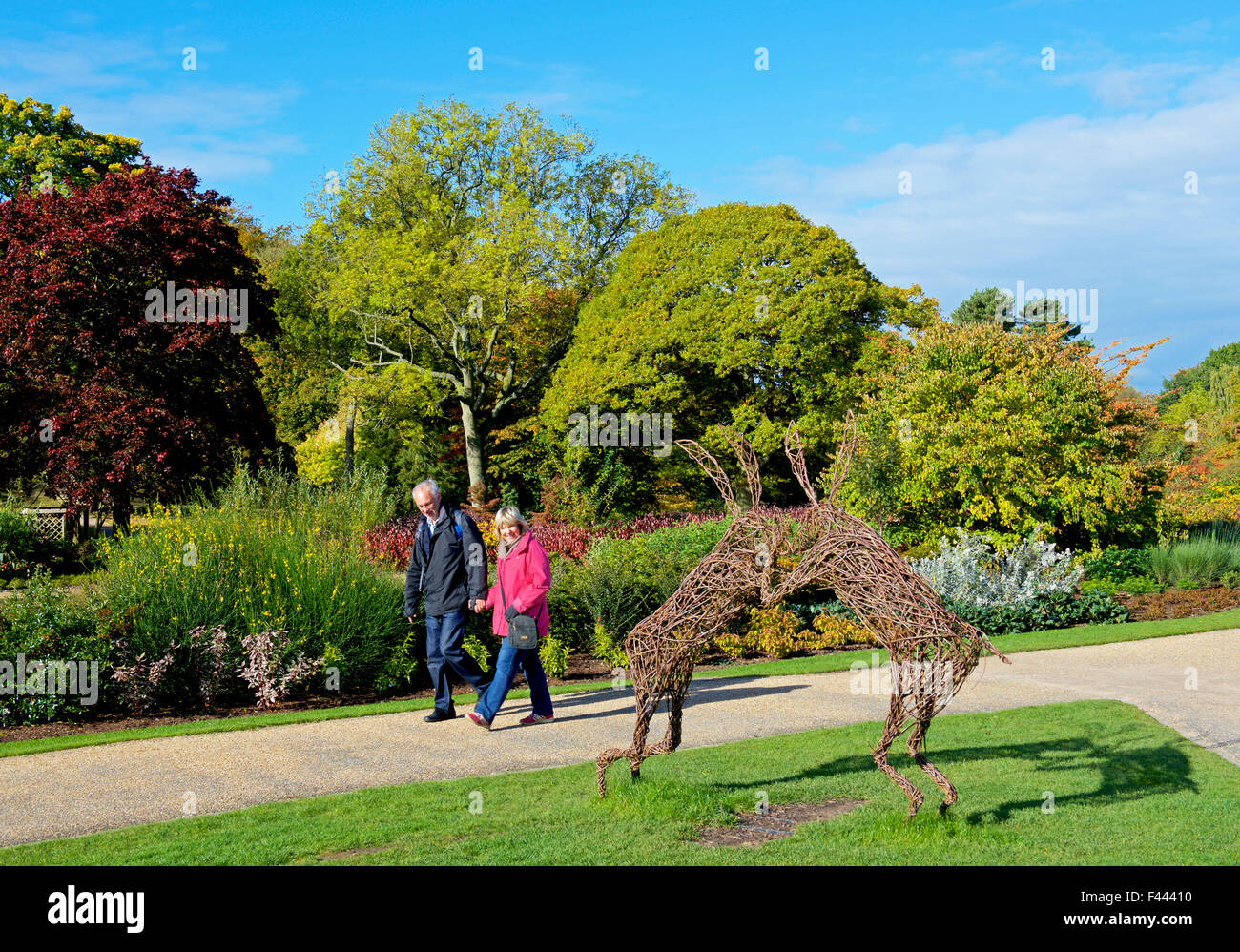 Harlow Carr, Gärten der Royal Horticultural Society, in der Nähe von Harrogate, North Yorkshire, England UK Stockfoto