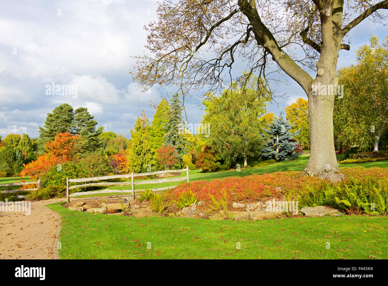 Harlow Carr, Gärten der Royal Horticultural Society, in der Nähe von Harrogate, North Yorkshire, England UK Stockfoto