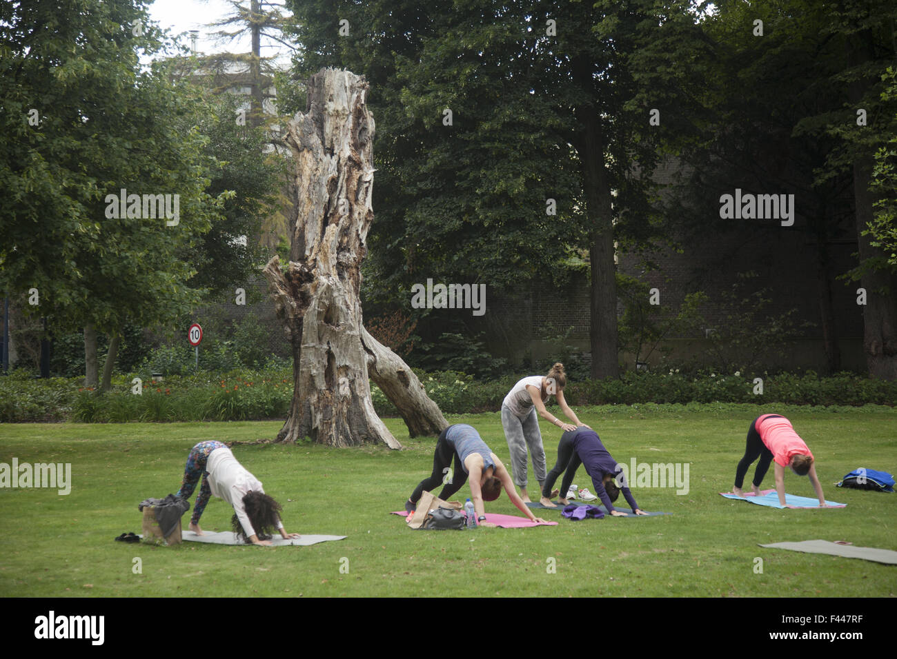Frauen Yoga-Kurs, Schlossgarten hinter Palast Noordeinde, den Haag, Niederlande. Stockfoto
