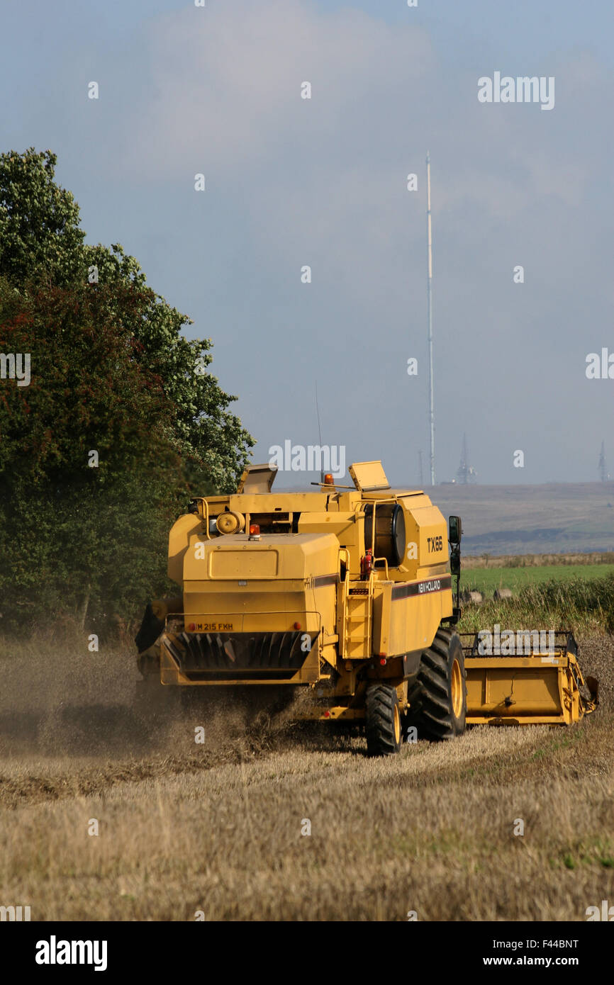 Mähdrescher Stockfoto