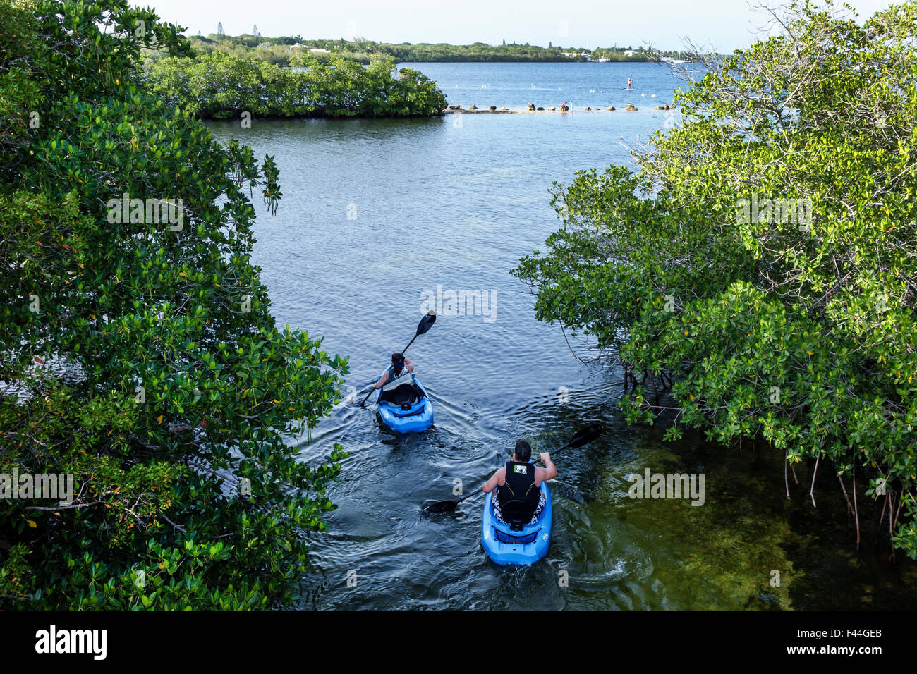 Florida Keys, Highway Route 1 Overseas Highway, Key Largo, John Pennekamp Coral Reef State Park, Largo Sound, Mann Männer männlich, Frau weibliche Frauen, Paar, Kajaks Stockfoto