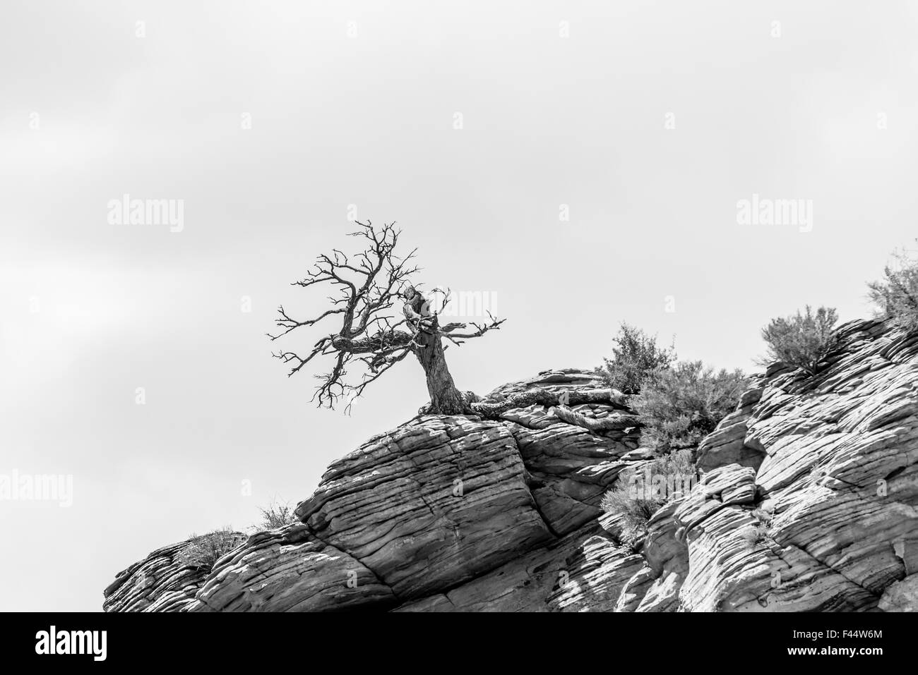 Zion-Canyon-Nationalpark, Utah Stockfoto