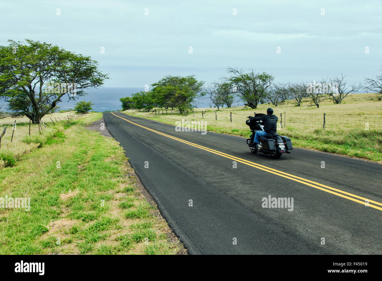 Motorradfahrer fahren entlang Kohala Coast, Big Island von Hawaii, Hawai ' i, USA Stockfoto