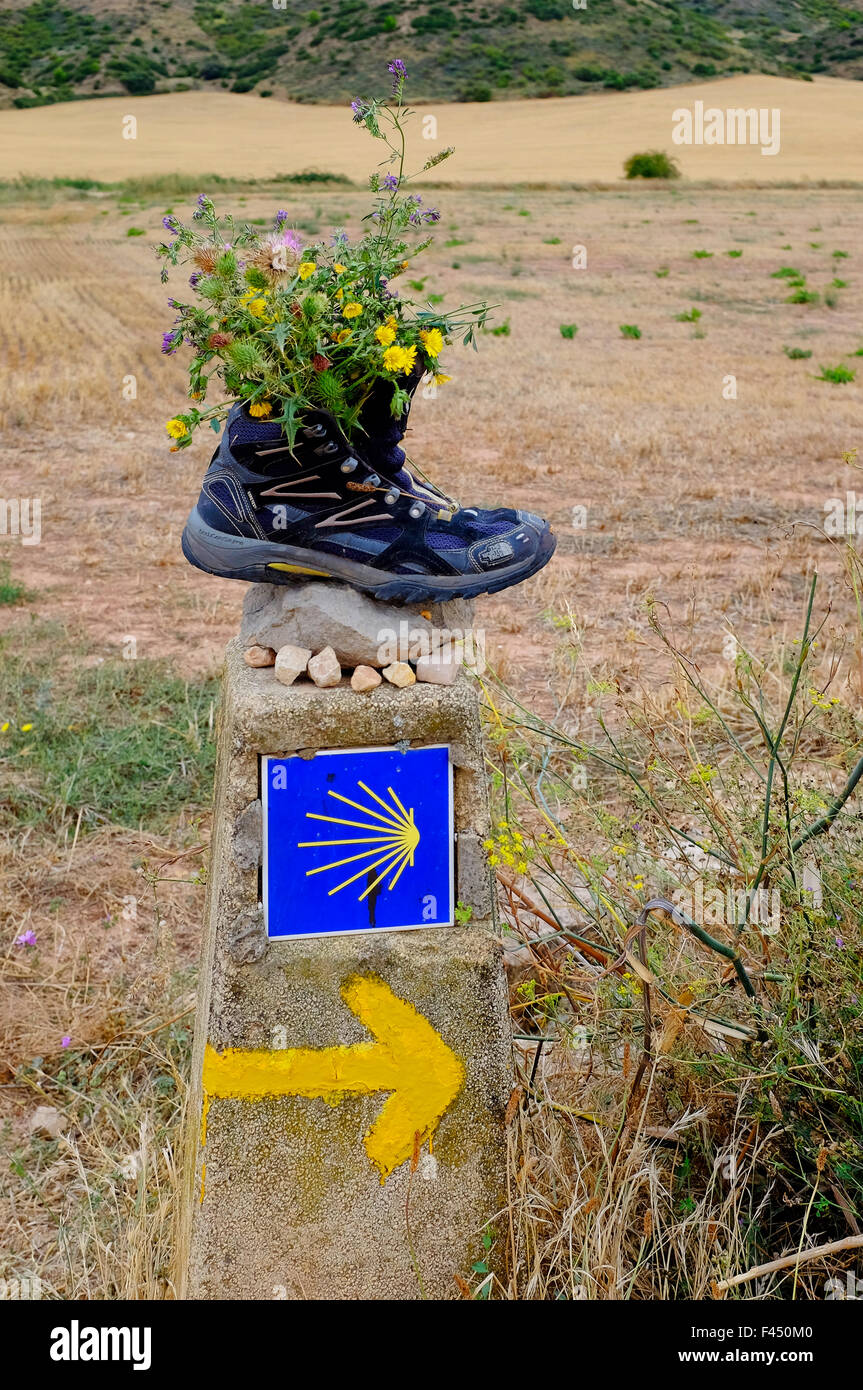 Gelber Pfeil markiert den Jakobsweg (Camino de Santiago), Villamayor de Monjardin, Navarra, Spanien Stockfoto