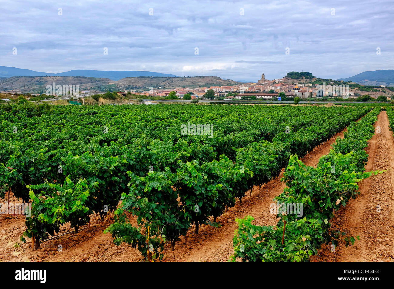 Die Weinberge von Navarrete, La Rioja, Spanien Stockfoto