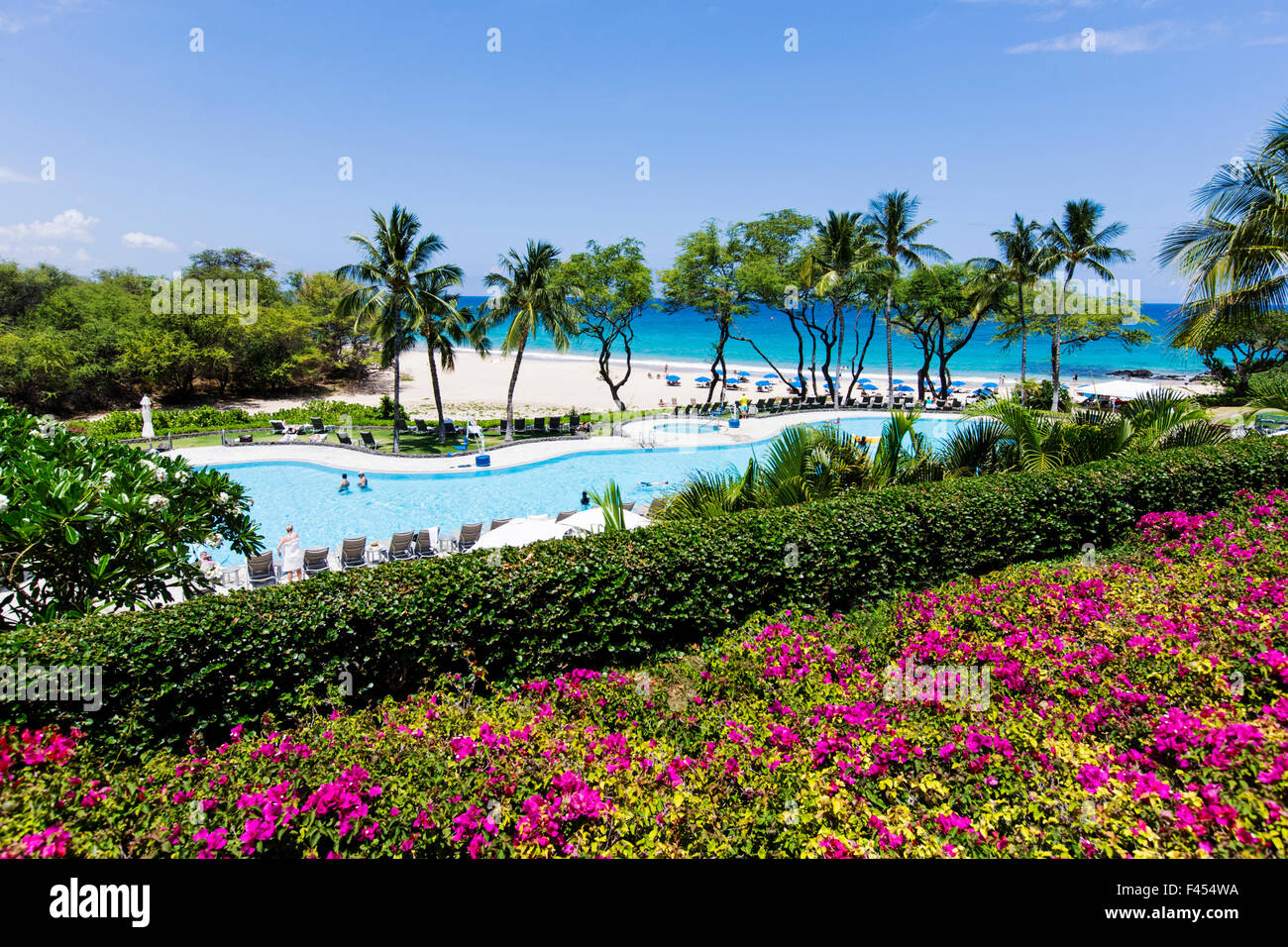 Gärten; Blumen, Schwimmbad, Hapuna Beach Prince Hotel & Golf Course, mit Strand & Ozean jenseits Kohala Coast, Hawaii, USA Stockfoto