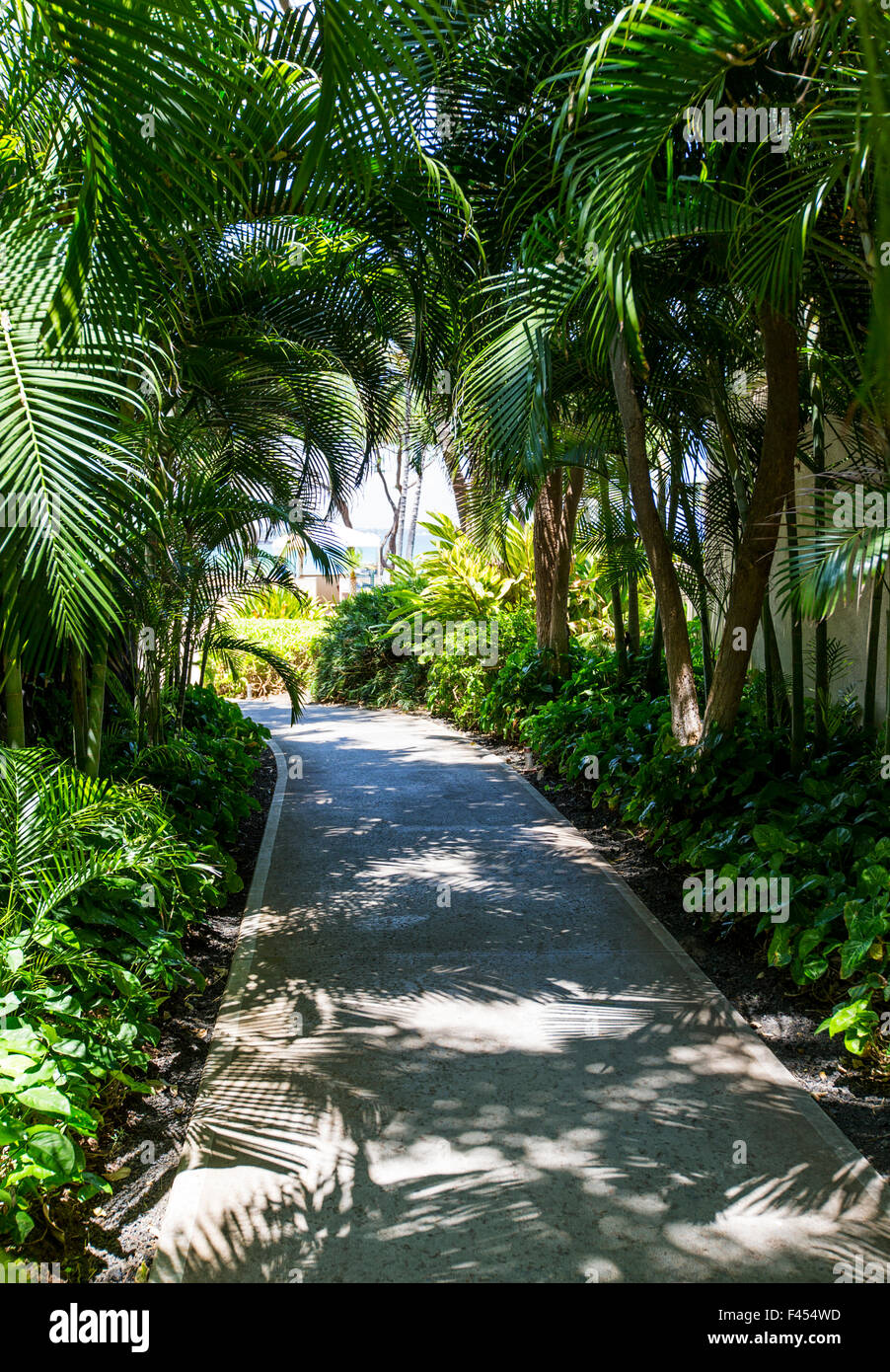 Üppige Gartenweg, Hapuna Beach Prince Hotel & Golf Course, Kohala Coast, Hawaii, USA Stockfoto
