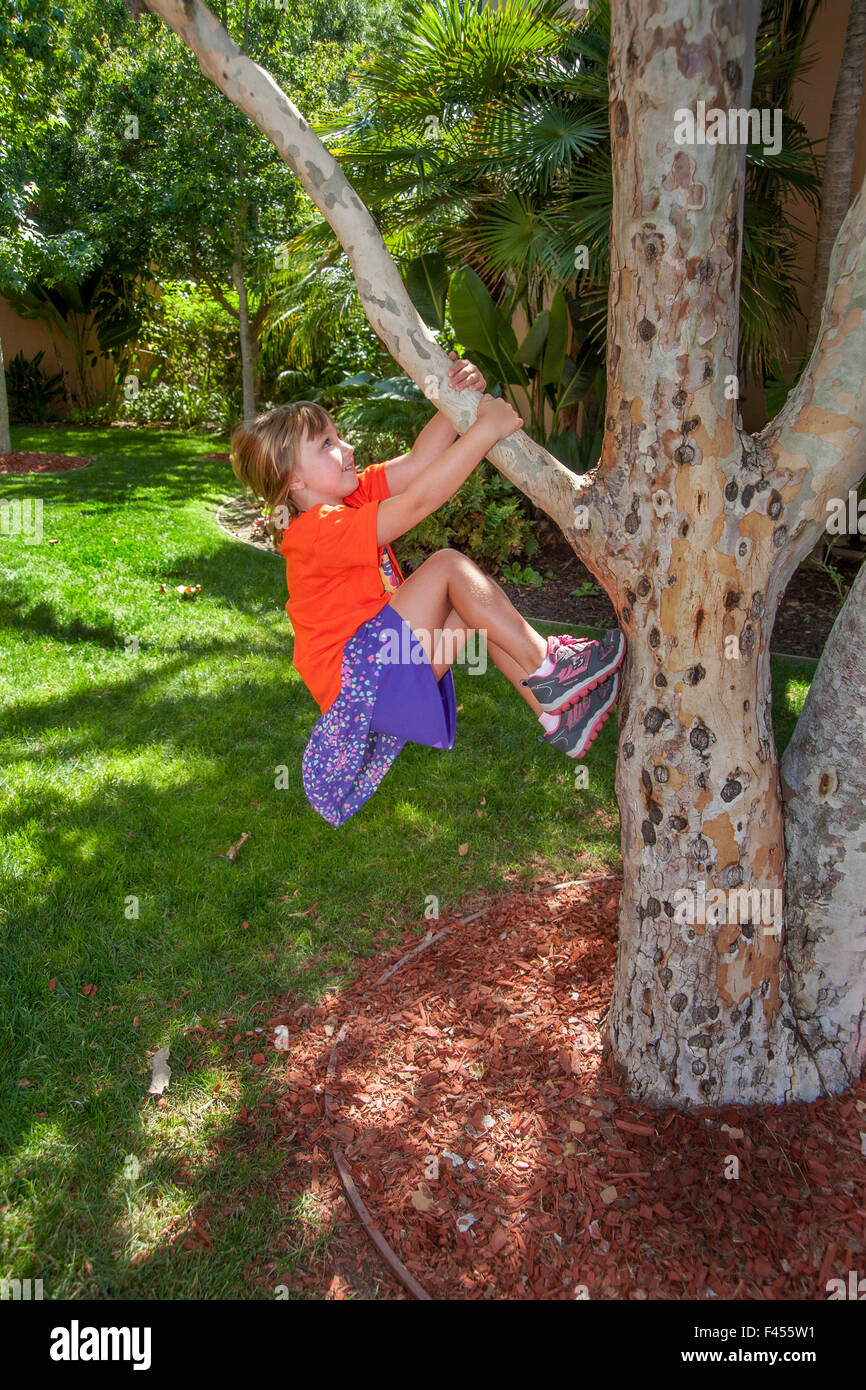 Tragen eine t-Shirt und jogging-Schuhe, klettert ein kleines Mädchen einen bequeme Baum in Laguna Niguel, CA. Stockfoto