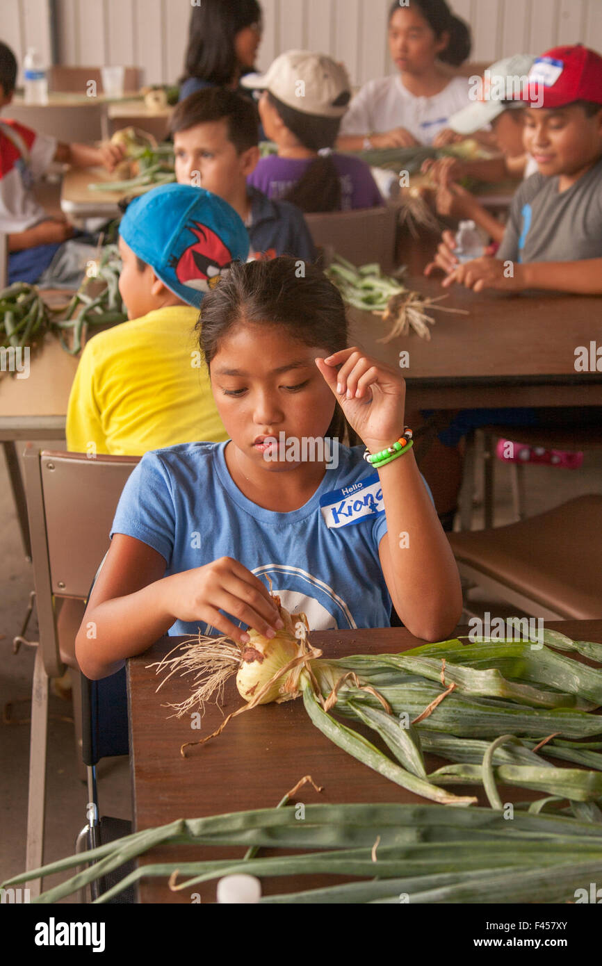 Eine innerstädtische hispanischen Mädchen betrachtet eine Zwiebel, die sie selbst wuchs in einem Modell-Bauernhof in Irvine, Kalifornien. Stockfoto