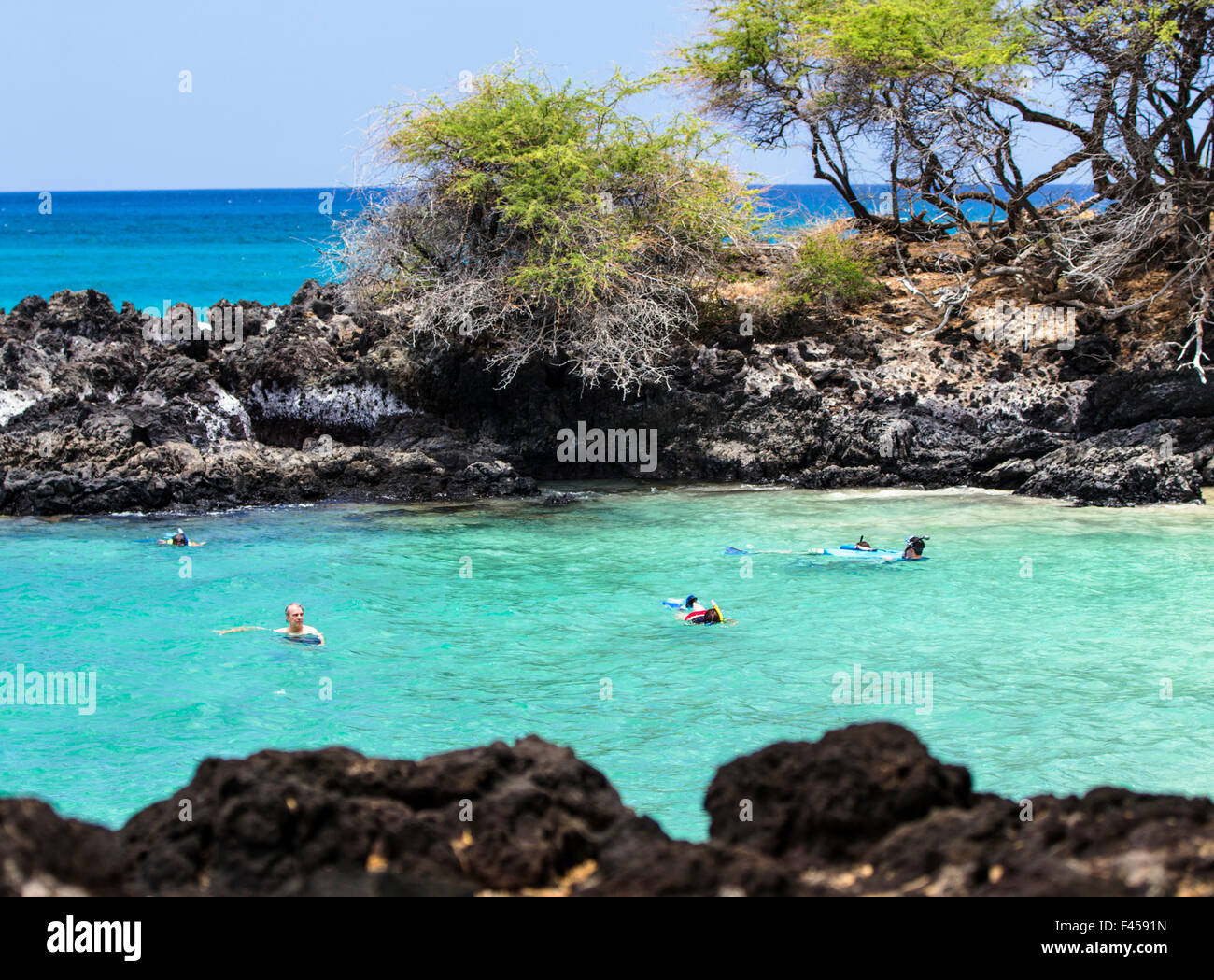 Schwimmer, Schnorcheln, Hapuna Beach, Kohala Coast, Hawaii, USA Stockfoto