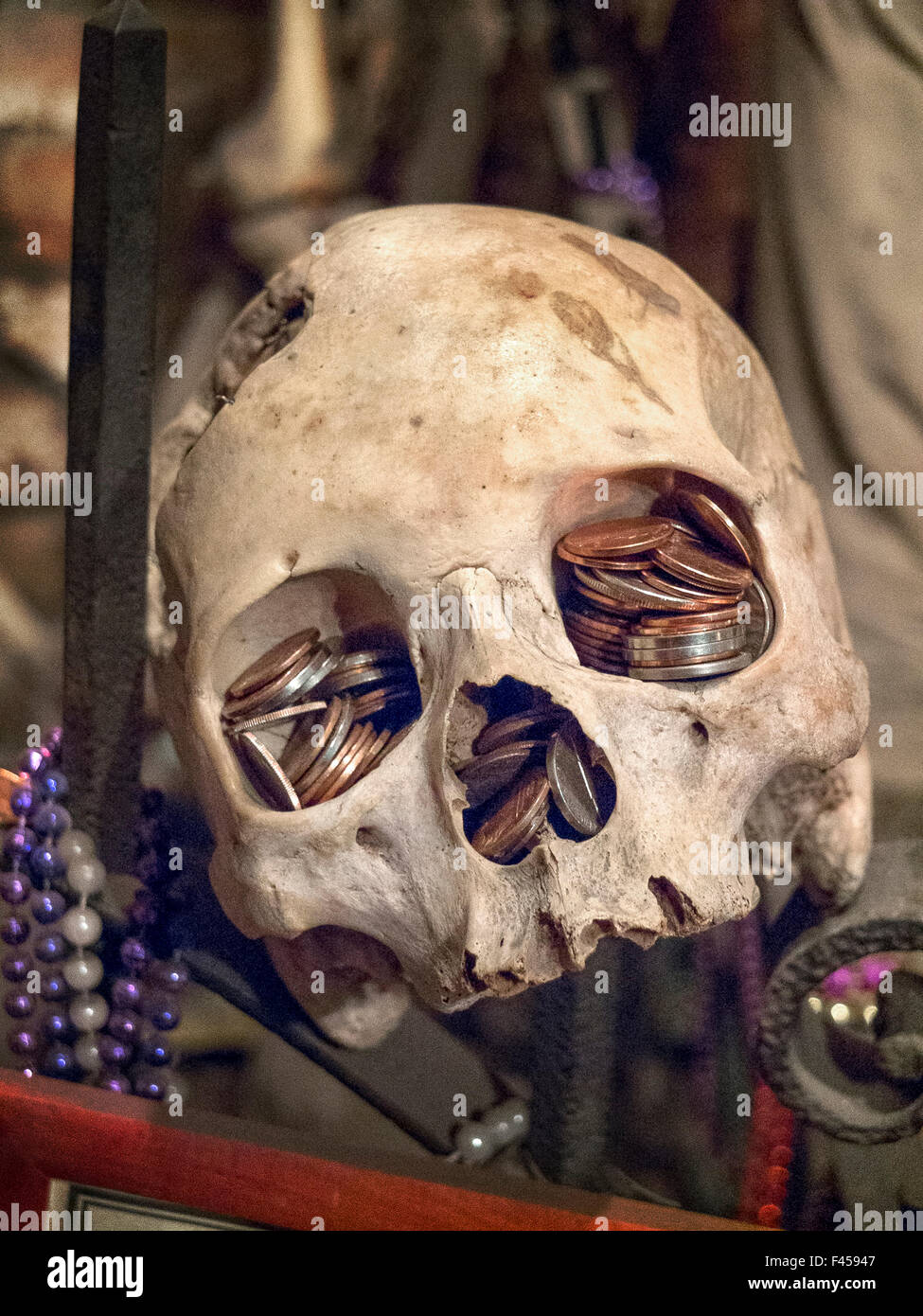 Im Voodoo Museum in New Orleans die Augenhöhlen eines menschlichen Schädels voller Münzen als Glücksbringer. Stockfoto