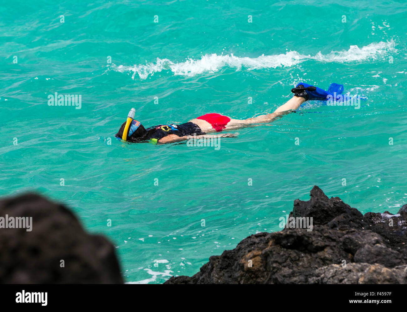 Schwimmer, Schnorcheln, Hapuna Beach, Kohala Coast, Hawaii, USA Stockfoto