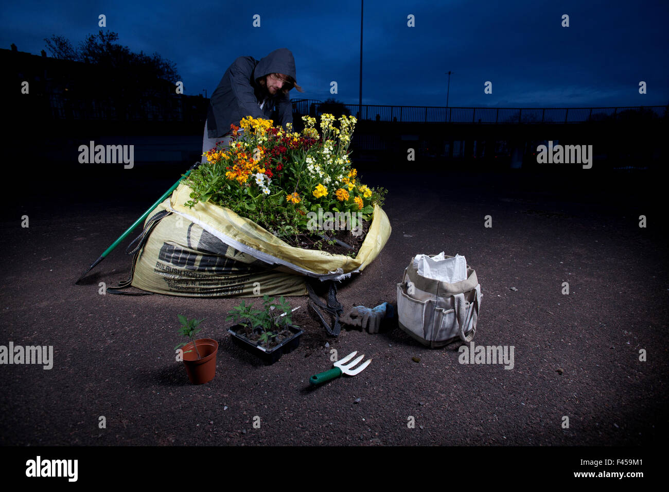 Guerilla Gärtner Pflanzen ein Blumenbeet in einen Sandsack eine Tonne in der Nacht. -Modell veröffentlicht. Stockfoto
