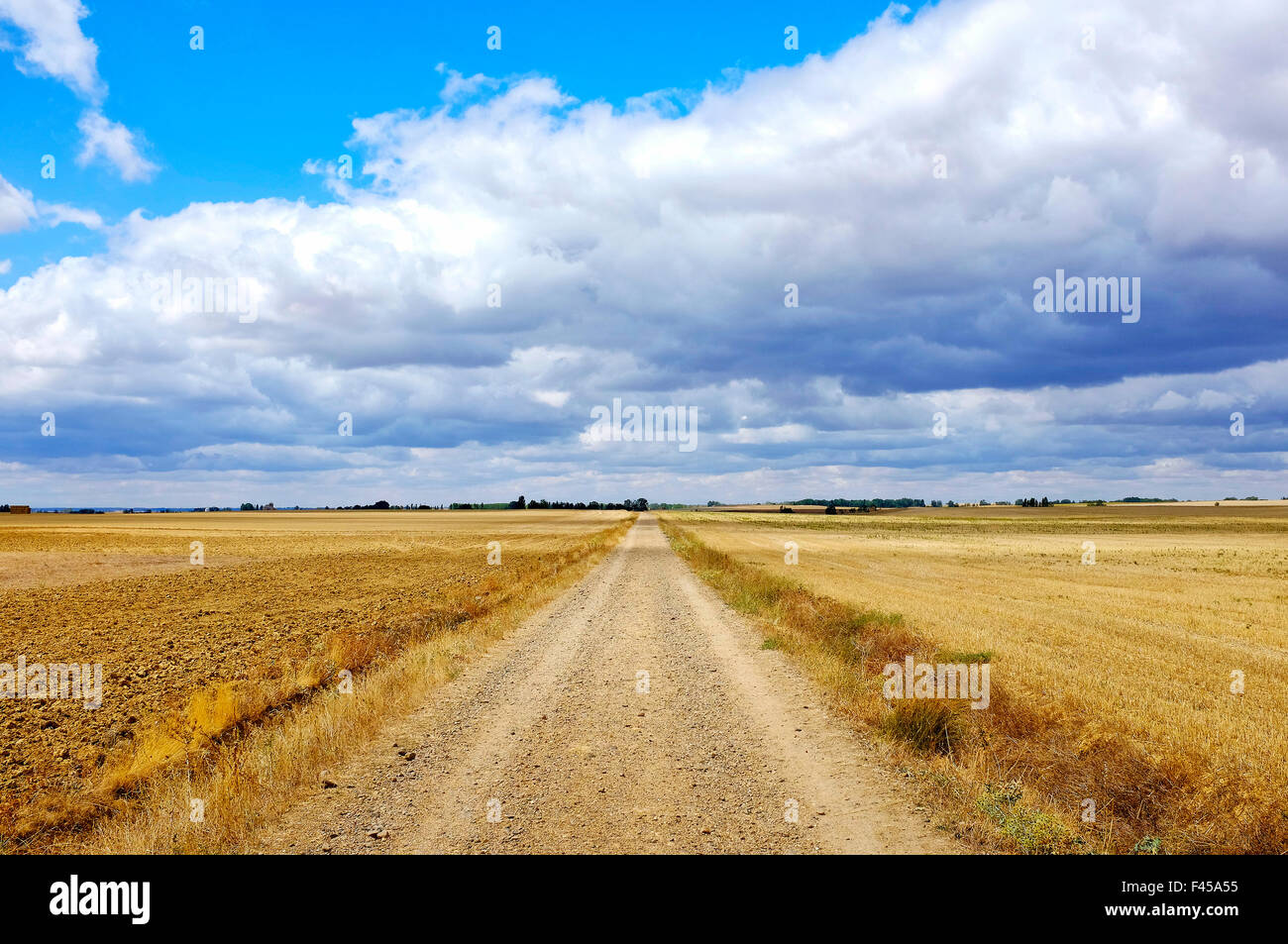 Carretera Boadilla del Camino - Itero De La Vega auf dem Jakobsweg (Camino de Santiago), Kastilien und León, Spanien Stockfoto