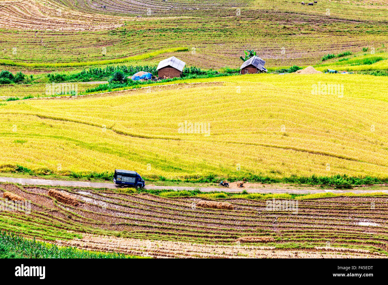 Menschen und Reis-Terrassenlandschaft in Y Ty, Laocai, Vietnam Stockfoto