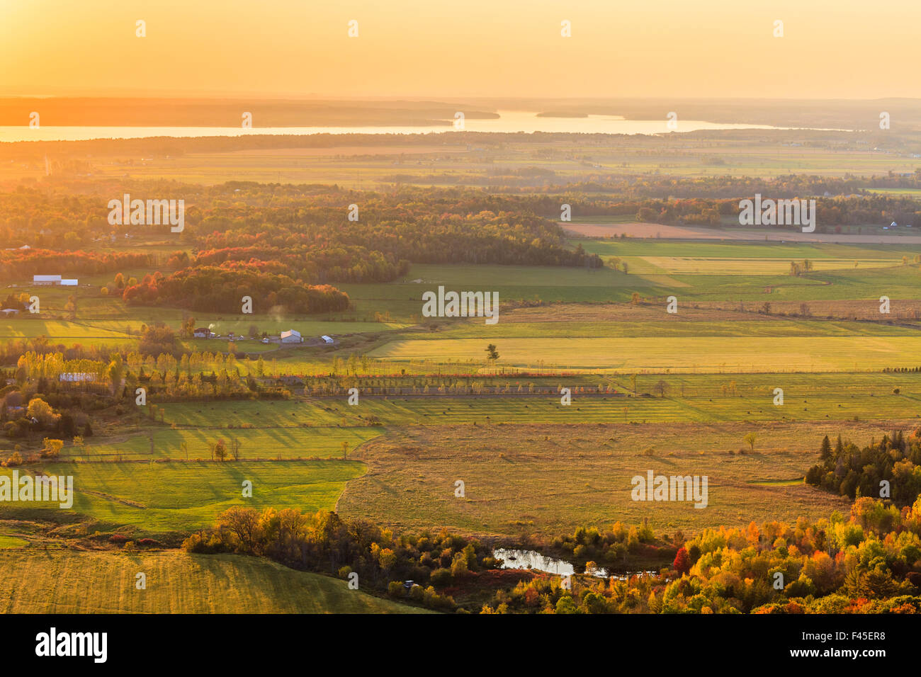 Panoramablick über Eardley Escarpment von Champlain Lookout in der Gatineau Park, Quebec, Kanada Stockfoto
