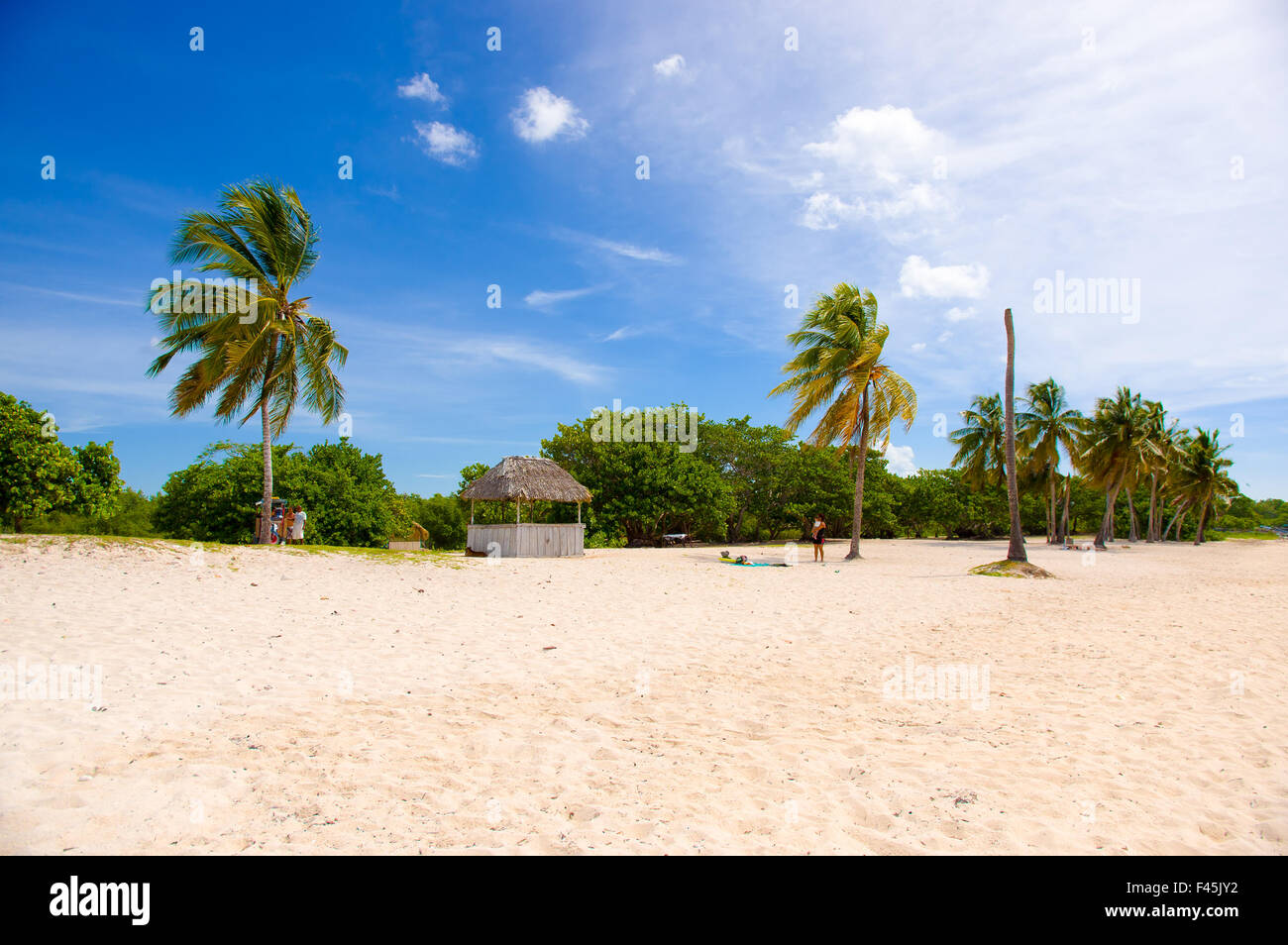 Playa Giron, Karibik, Südküste Kubas Stockfoto