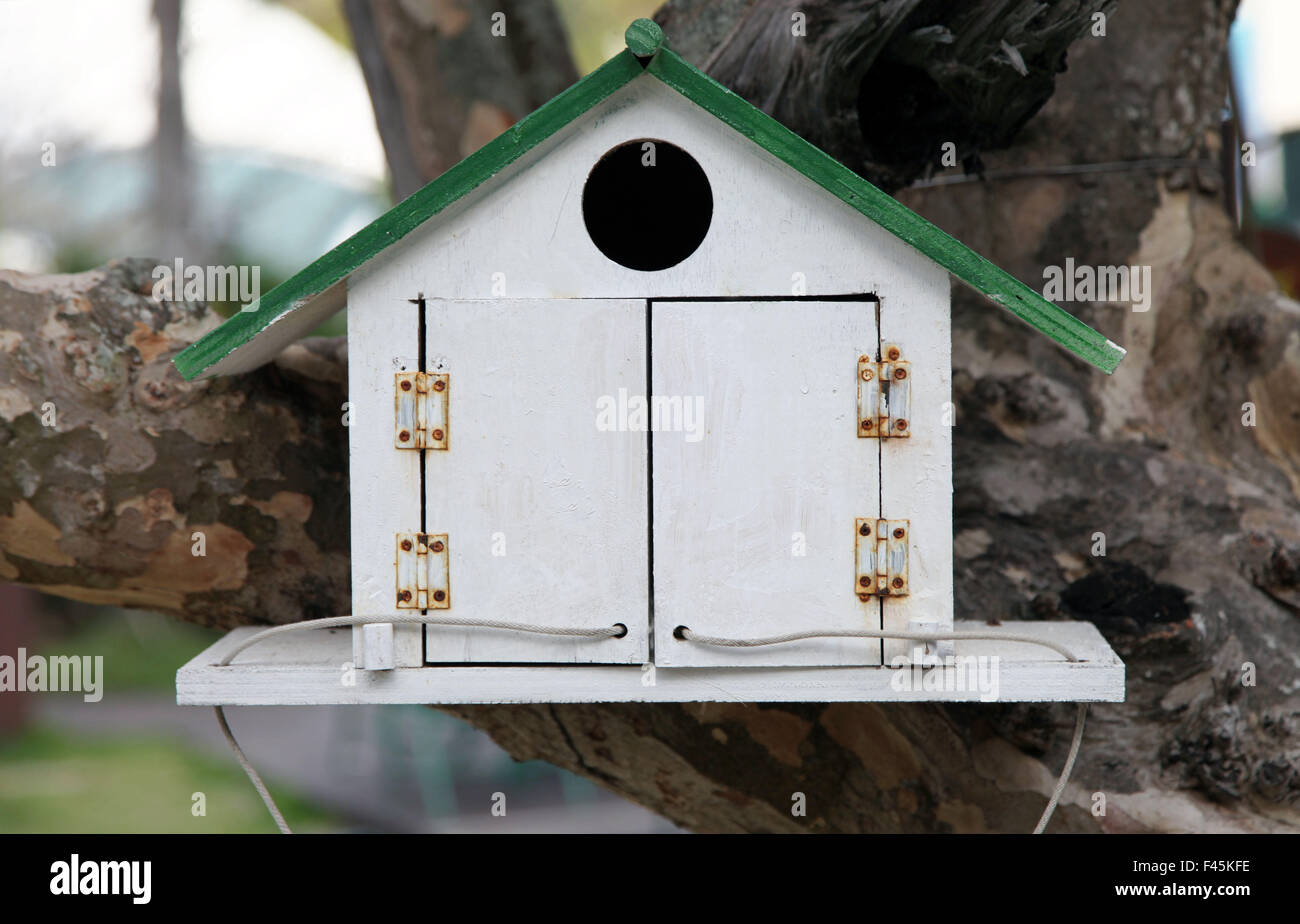 Es ist ein Foto eines kleinen Hauses für Vögel. Ein Vogel-Kasten oder Vogelhaus an einem Ast im Freien oder außerhalb Stockfoto