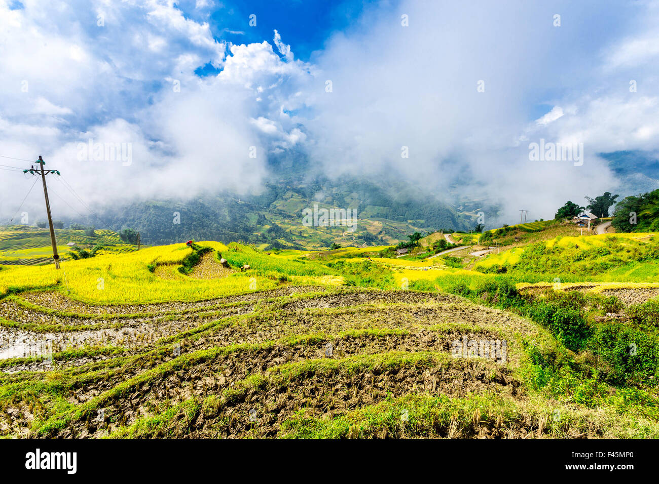 Menschen und Reis-Terrassenlandschaft in Y Ty, Laocai, Vietnam Stockfoto