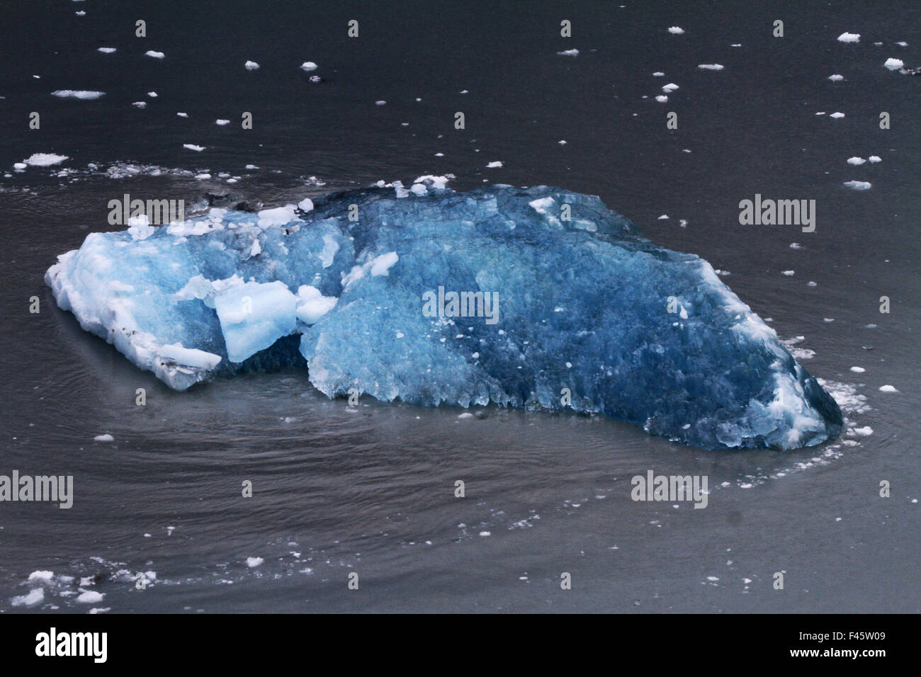 Stück Eis im Wasser auf der Kreuzfahrt zu den Hubbard-Gletscher Stockfoto