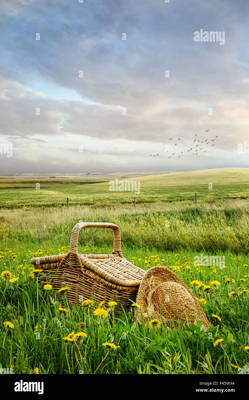 Picknick-Korb und Hut in die hohe Gräser Stockfoto
